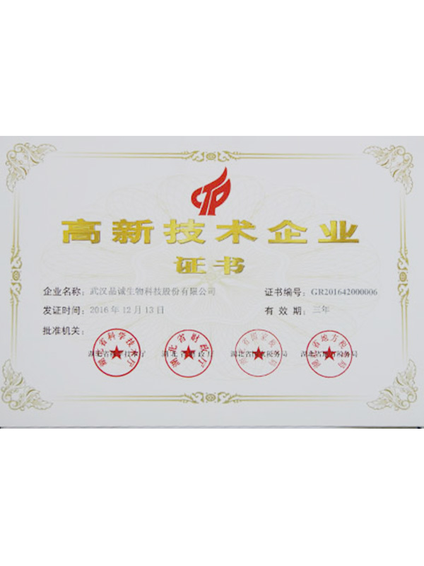 高新(xīn)技(jì )術企業